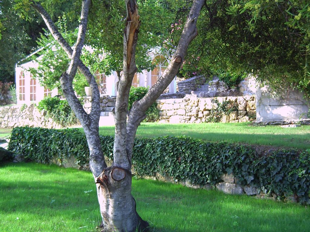 Domaine Du Mont Leuze Villa Villefranche-sur-Mer Exterior photo